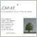 socialcap.at